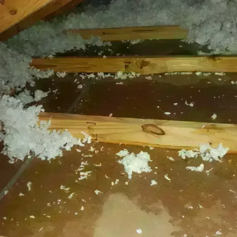 Attic Water Damage in Flagler Estates, FL